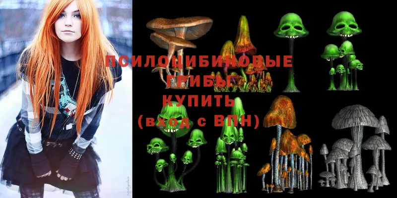 Галлюциногенные грибы Psilocybine cubensis  KRAKEN онион  Георгиевск 